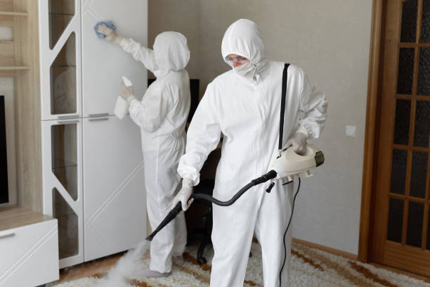 Best Residential Mold Removal  in Montrose, CO